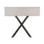 Paige 2 - Light Flush Mounted Sconce