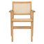 Fauteuil Atticus Cane-53582221