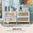 2 Drawer File Cabinet With Adjustable Hanging Bar, Accent Cabinet-2119872040