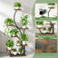 Plant Stand