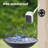 Birdfy Smart Solar Powered Ai Lifetime Free With Motion Detection Wireless Camera, White