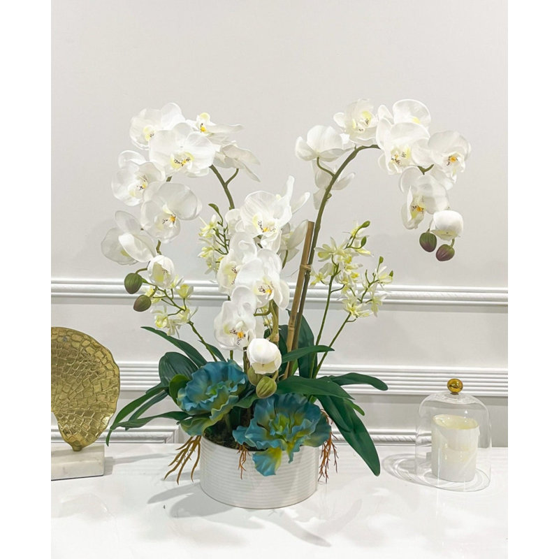 Arrangement d'orchidées Malden dans un vase