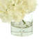 Hydrangea in Vase