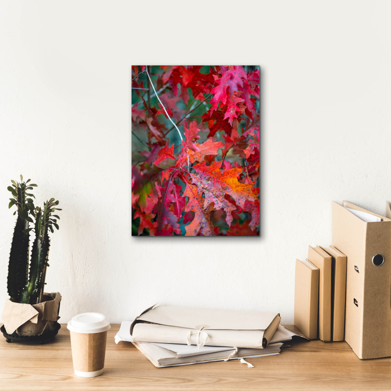  «Autumn Oak Leaves» par Danny Head, art mural sur toile, 12 po x 16 po