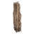 40'' Foliage Plant