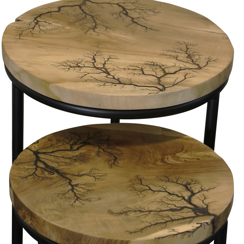 Tables d'appoint gigognes d'hiver - rondes - brun naturel / noir