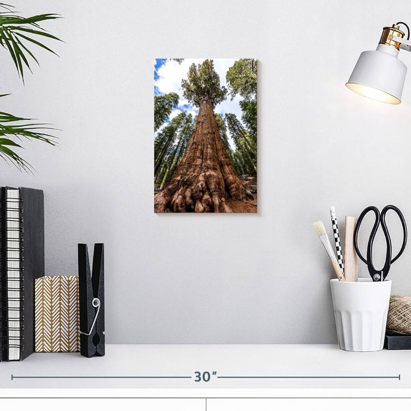 Harnek General Sherman Tree, 12" H x 8" W
