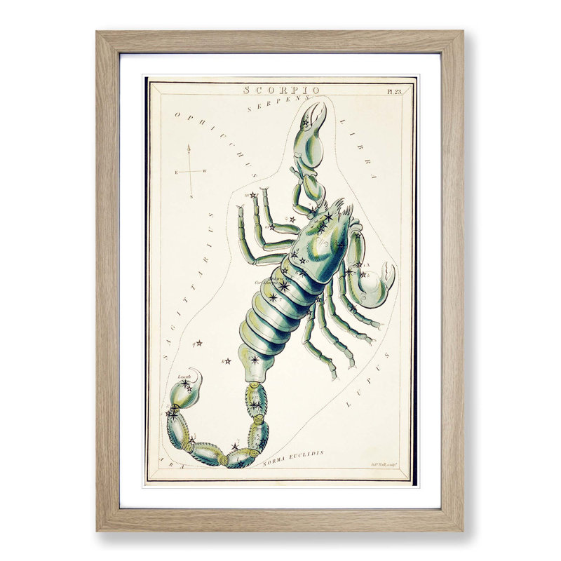 Astronomical Zodiac Chart Of The Scorpio - Single Picture Frame Painting, Oak, 63cm H x 45cm W x 2cm D