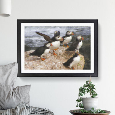Atlantic Puffin Birds Vol.3 - Picture Frame Graphic Art