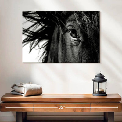 Brampt Horse de près