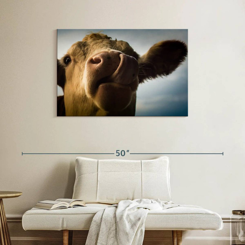 Vache ridicule, H 26 po x l 39 po