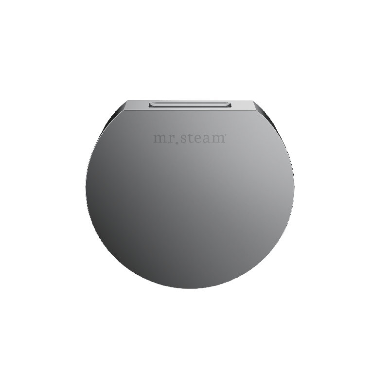 Designer 3 in. Steamhead with AromaTherapy Reservoir in Round , Black