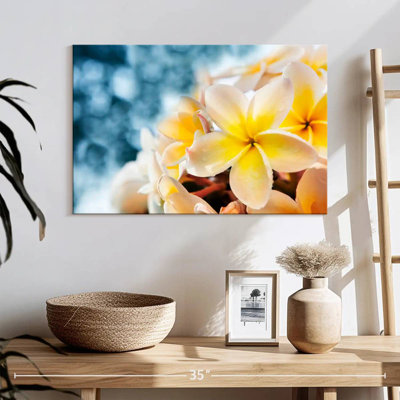 Harnek Frangipani