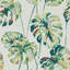 Kelapa Wallpaper-50900655