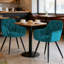 Velvet Upholstered Armrests Tufted Dining Chair with Wide Back 50cmH-753914231