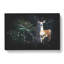 Curious Fawn - Wrapped Canvas-56647699