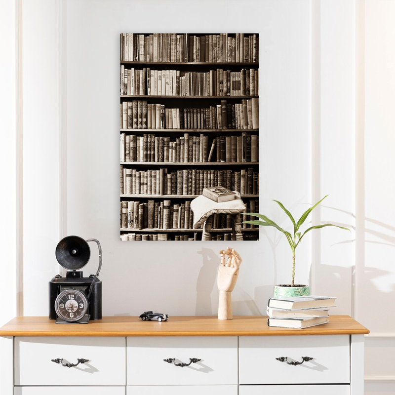 Bibliothèque, livres sur fond noir et blanc, H 24 po x l 16 po
