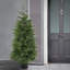 The Holiday Aisle® 5 ft. Cypress Tree in Nursery Pot