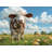 Curious Cow Farm Microfiber / Polyester Comforter-97345582