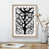 Oak Framed