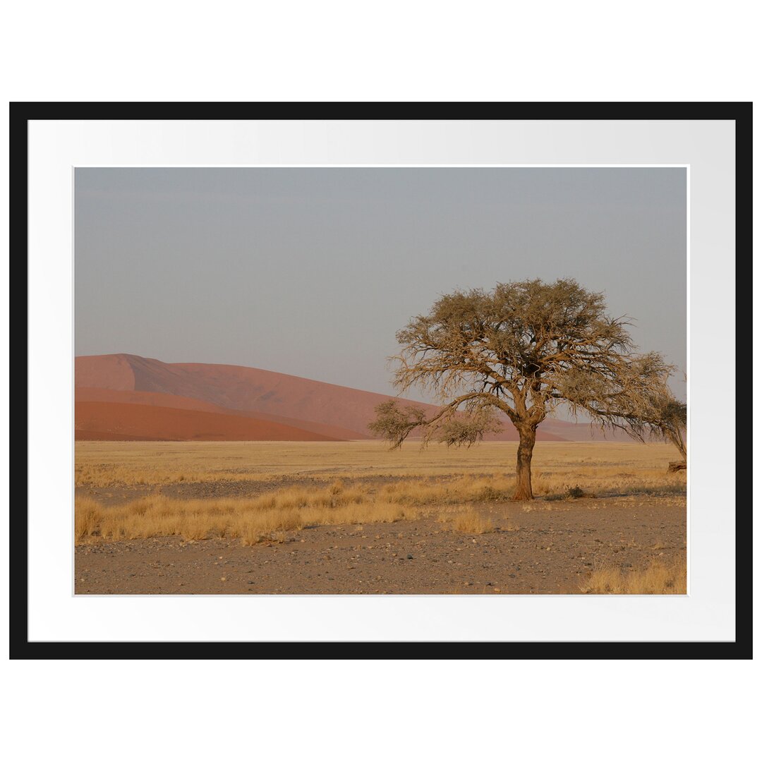 Gerahmtes Poster Einzelner Baum in Wüste