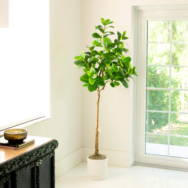 7 pi Ficus Audrey artificiel, H 72 po x l 26 po x P 7 po