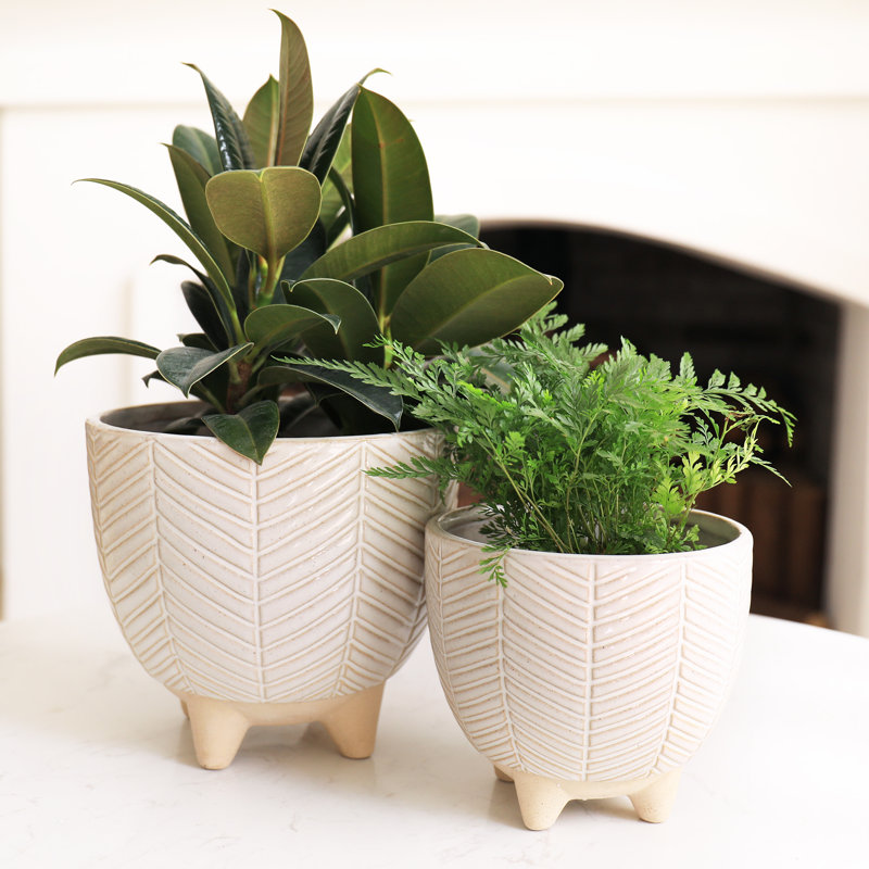 Tierney Ceramic Pot Planter