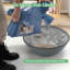 Polyethylene Plastic Litter Box-213346340