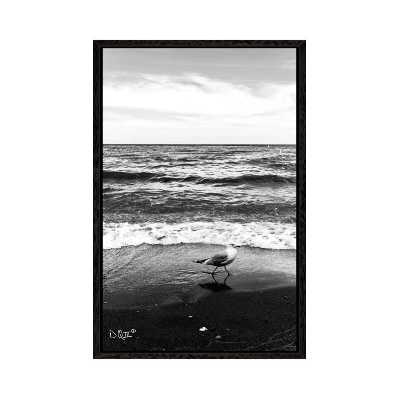 Seagull I by Donnie Quillen - Print on Canvas, 66.04cm H x 45.72cm W x 3.81cm D, Black Framed