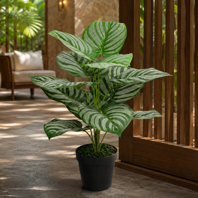 60cm Green Stripe Artificial Foliage Plant