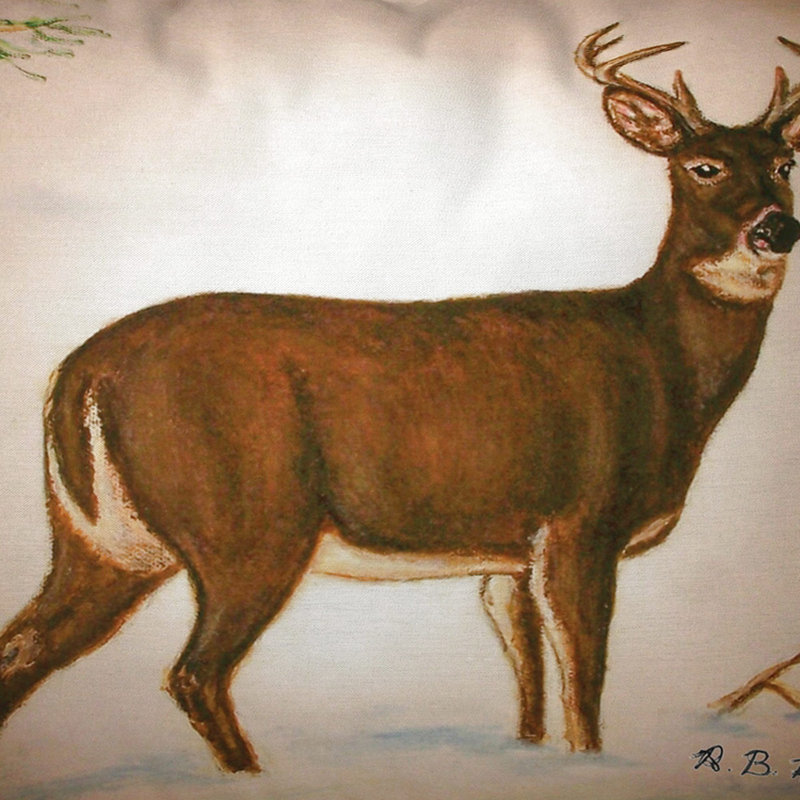 Coussin lombaire intérieur/extérieur Buck