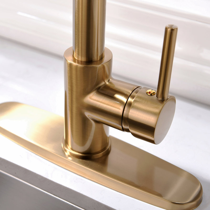Kitchen Faucet With Pull Down Sprayer, Single Handle Single Lever Kitchen Sink Faucet With Deck Plate, Brushed Gold