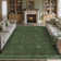 Ainez Tranditional Oriental Machine Washable Area Rugs With Non-Slip Backing