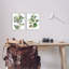 «Soft Eucalyptus Plant Ombre Leaves», ensemble de 2 giclées par Melissa Wang-2004379150-2004379151
