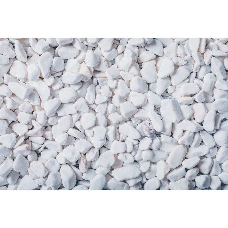 Ensemble de tapis de bain de luxe Eakly (2 pièces), 100% polyester, 16,0 x 23,6 pouces et 23,6 x 39,4 pouces | Conception antibactérienne antidérapante, hauteur de poils de 0,3 po | Lavable à la machine, durable et facile à nettoyer | Idéal pour la décoration de salle de bain