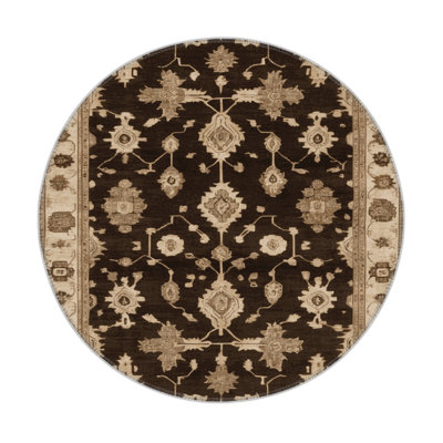 Tapis intérieur et extérieur brun Overdyed