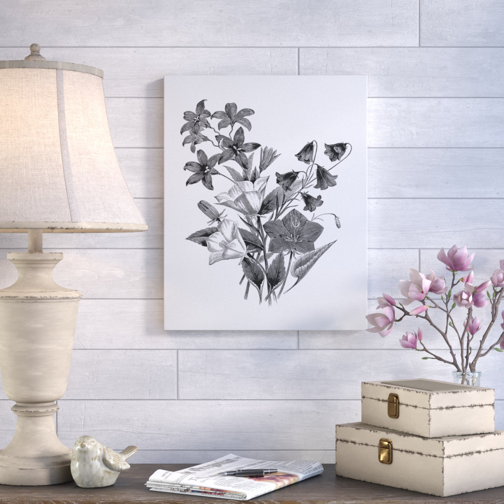 'Botanical Black and White II' Graphic Art Print on Wrapped Canvas Gracie Oaks 