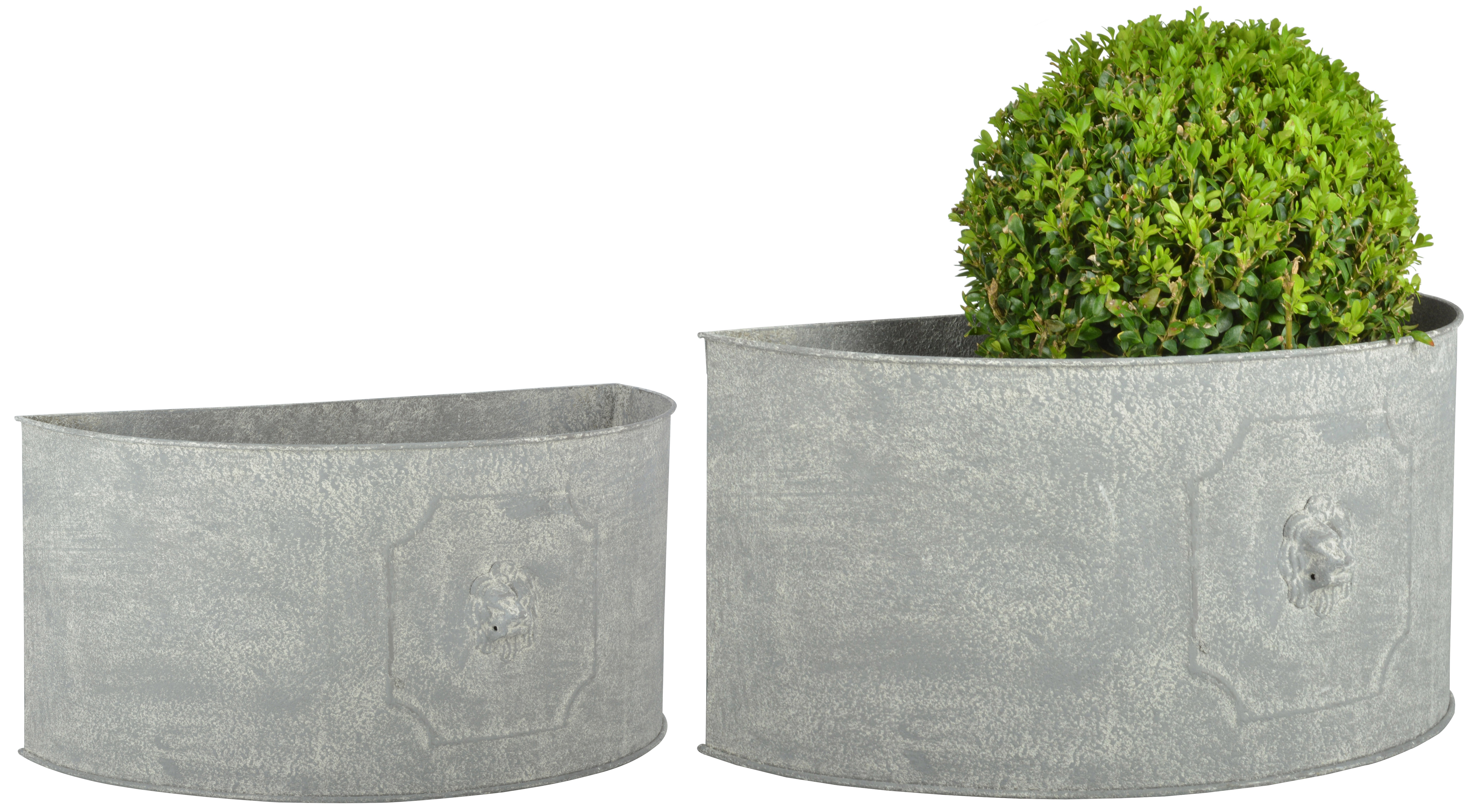 https://assets.wfcdn.com/im/55435763/compr-r85/1025/102566500/corso-metal-pot-planter.jpg