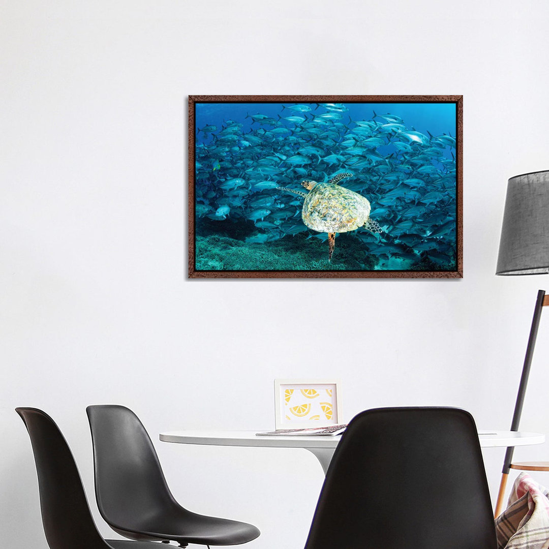 Peak Hour On The Reef von Jordan Robins - Gallery-Wrapped Canvas Giclée on Canvas