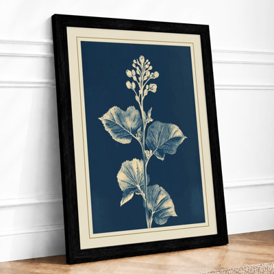 Engraving Botanical - Framed Print