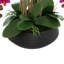 Orchid Centerpiece in Ceramic Pot-930332672