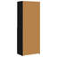 Bookcase-1460225837