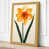Ochre Border