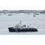 Caténaire USCG (WYTL-65606), modèle de navire-112299457