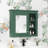Medicine Cabinet-1533800822