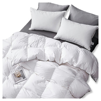 Winter Down Blend Down Comforter