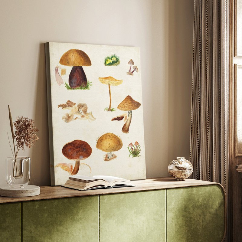 Mushroom Species II - galerie sur mesure, H 12 po x l 8 po