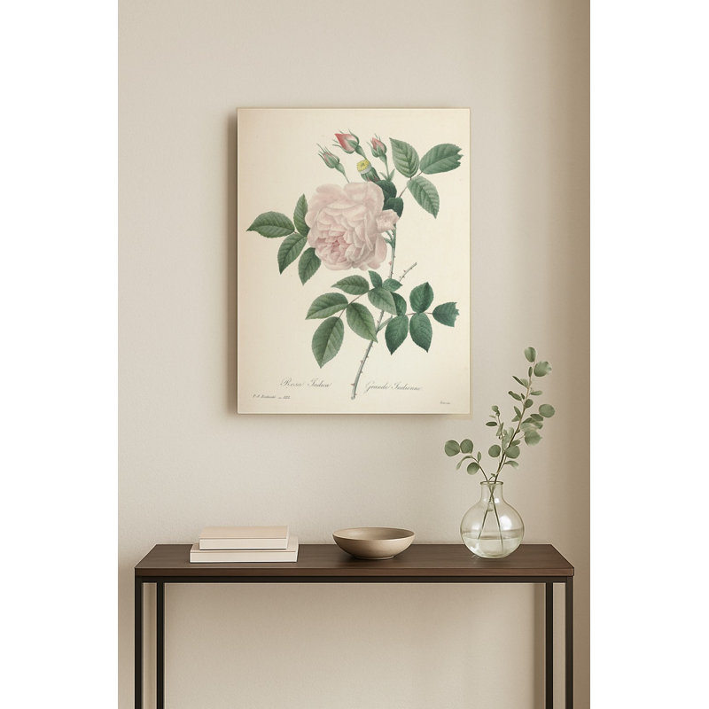Rosa Indica / Grande Indienne (vers 1817) — Portrait Art mural en métal, H 20 po x l 16 po