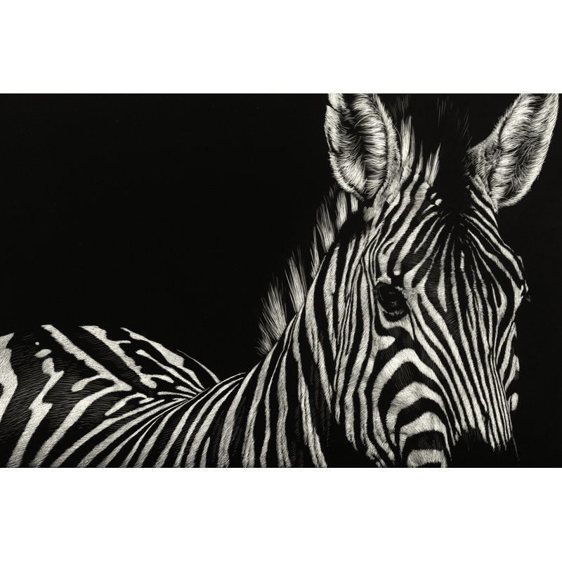 Scratchboard Incline by Julie T. Chapman - Print on Canvas, 81cm H x 122cm W, Black Floater Framed