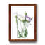 Moderne Jardin I - reproduction de cadre photo sur papier-1336519817-1336519823
